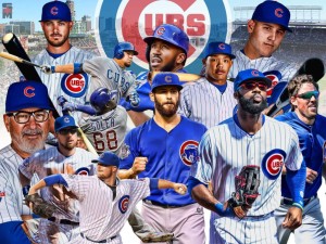 cubs